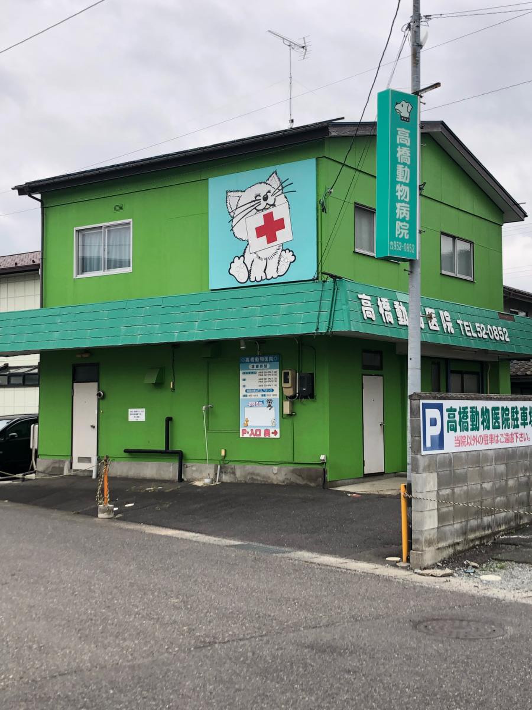 活動歴および当時の関連ビジュアル記録
