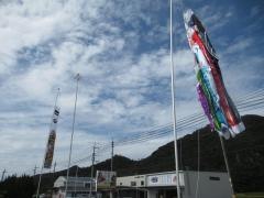 徳永こいのぼり
