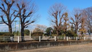 乙女小学校