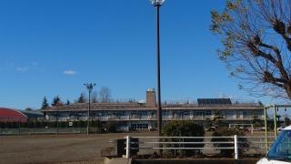 乙女小学校