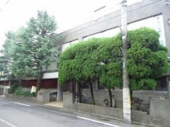 武蔵野中央幼稚園