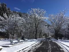 西湖野鳥の森公園