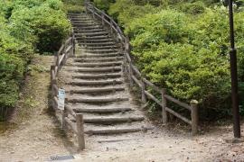 秋葉公園