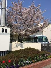 ひかり幼稚園