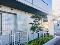 アゼリア