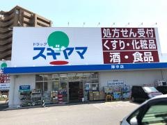 ドラッグスギヤマ　陣中店