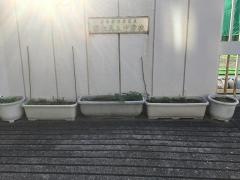 杉並区立富士見丘中学校