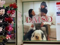 ザ・ダイソー　よしや中板橋店