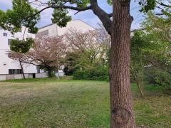 小島町緑地