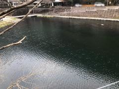 湯原にじます自然釣場