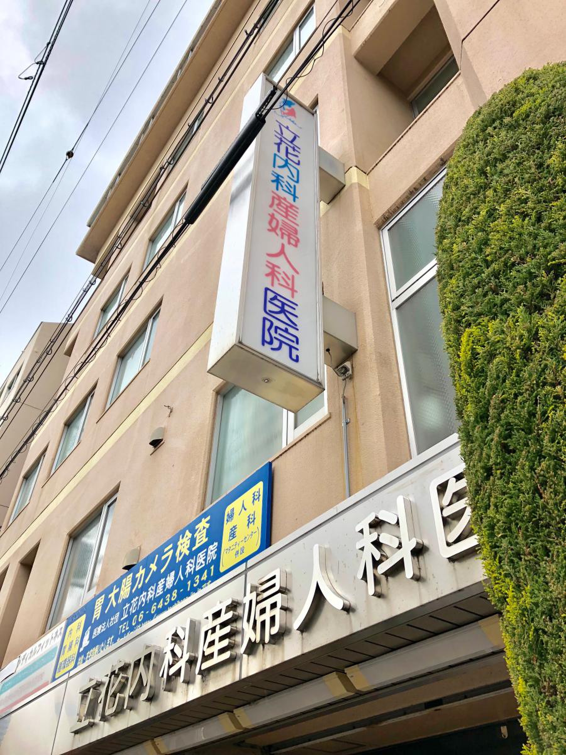 立花 産婦 人 科