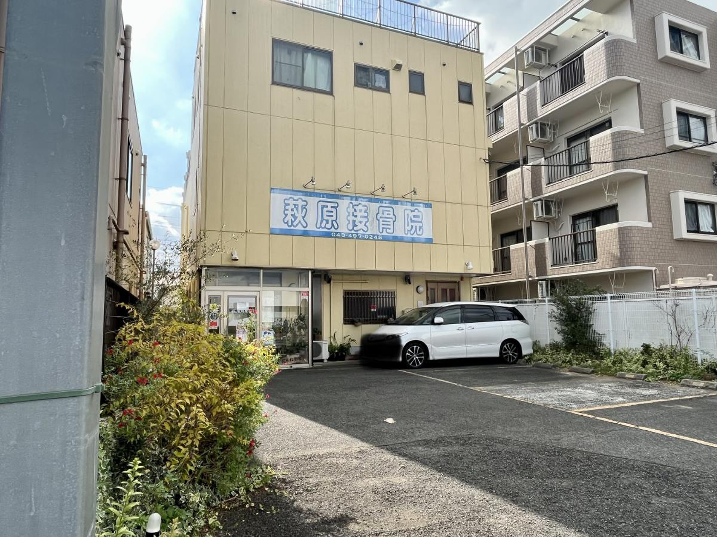 活動歴および当時の関連ビジュアル記録