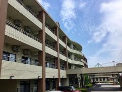 緑水苑与野