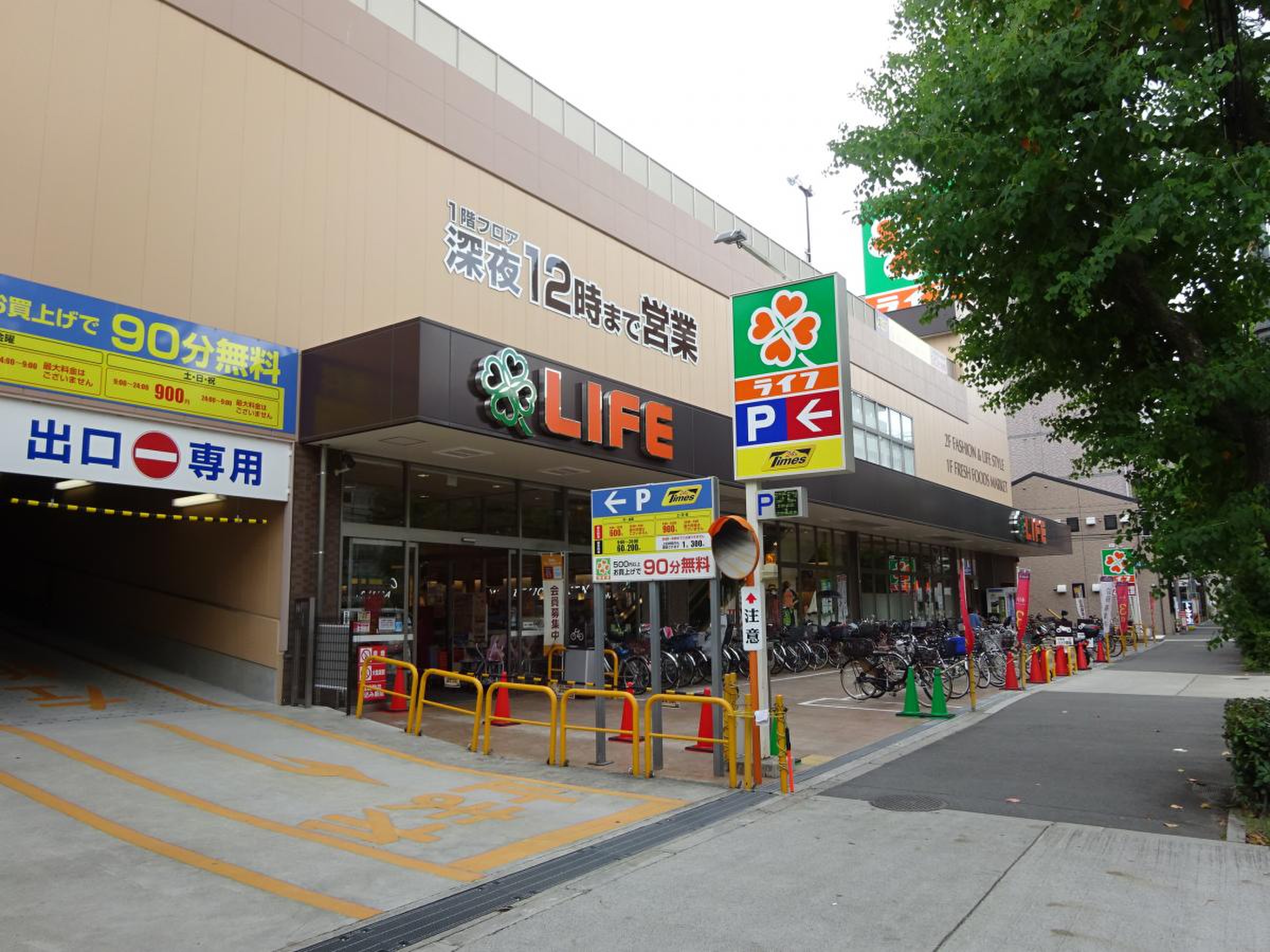 活動歴および当時の関連ビジュアル記録