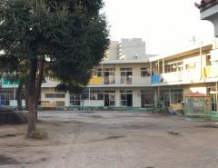 小羊幼稚園