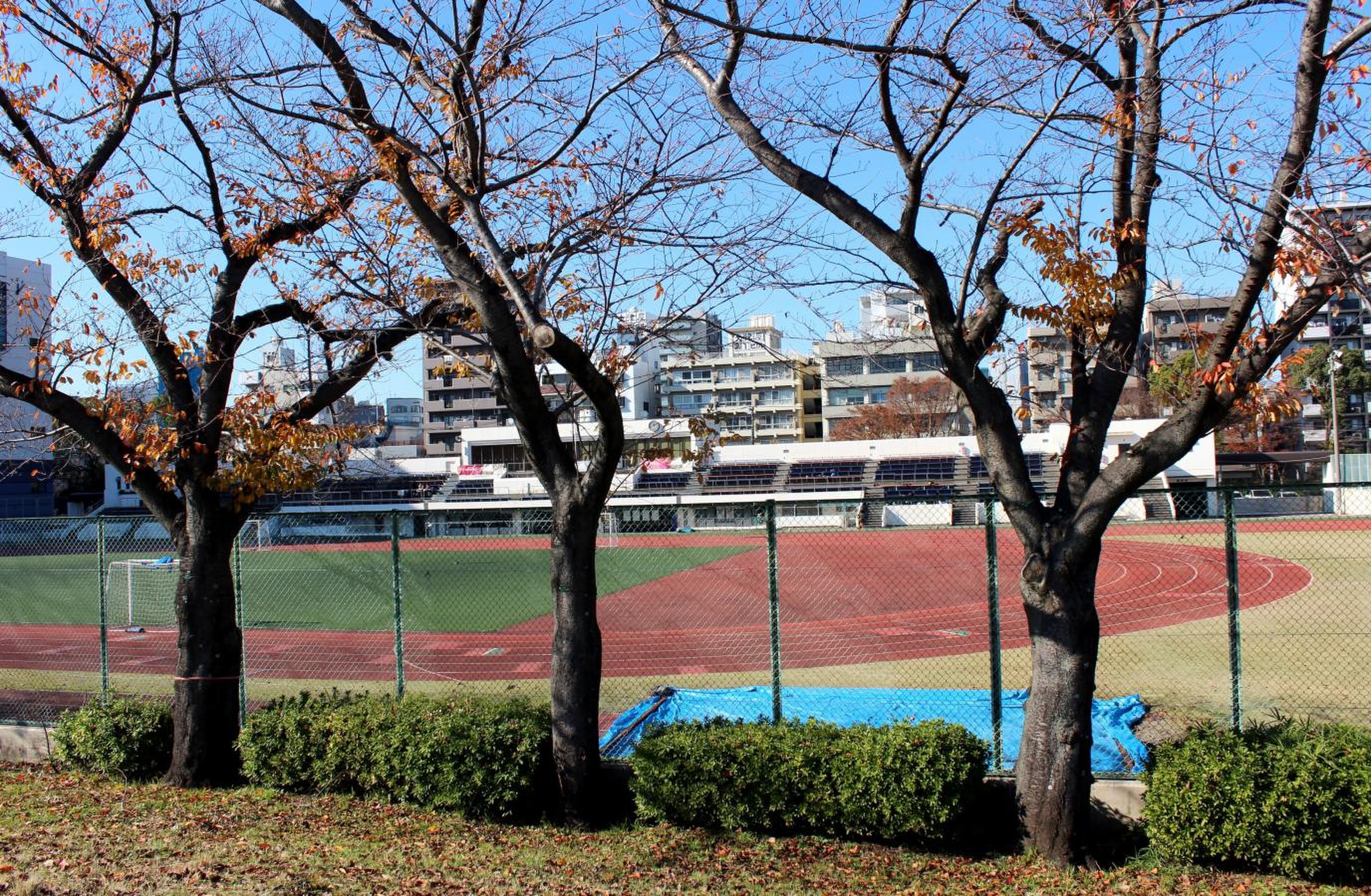 台東 区 スポーツ センター