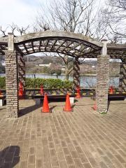 津久井湖下流部
