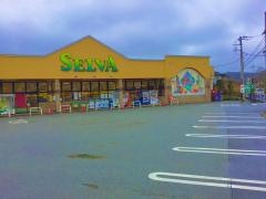セルバ忍野店