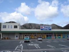 ヤマダ電機　テックランド新見店