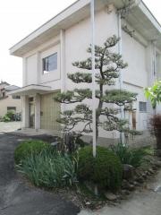 長谷川外科