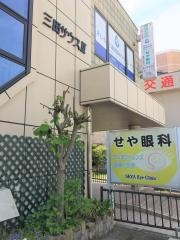 せや眼科