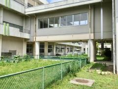 東原小学校