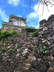 越前大野城