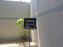田原市赤羽根図書館