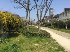 愛宕浜緑道