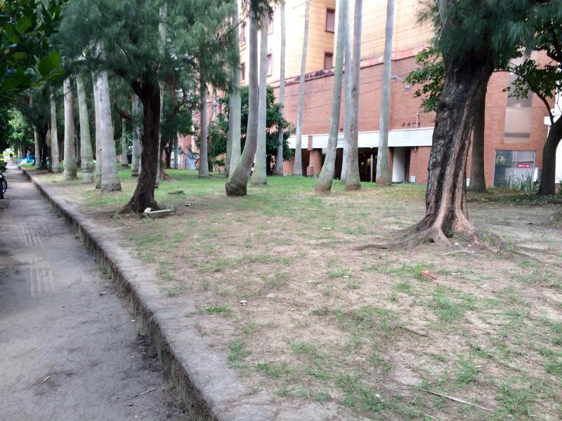 辻若狭緑地 外観