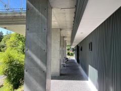 森のキッチン椎の木とイノシシ