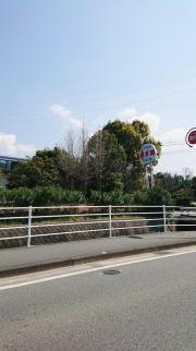 不知火ゴルフ練習場