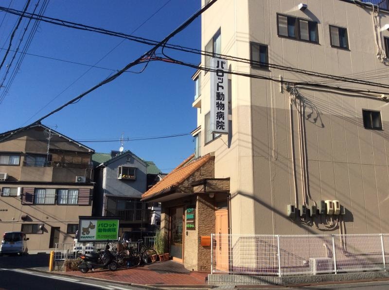 パロット動物病院