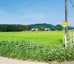 「南瀬局前」バス停留所