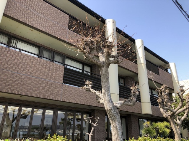鎌倉由比ホーム 雰囲気