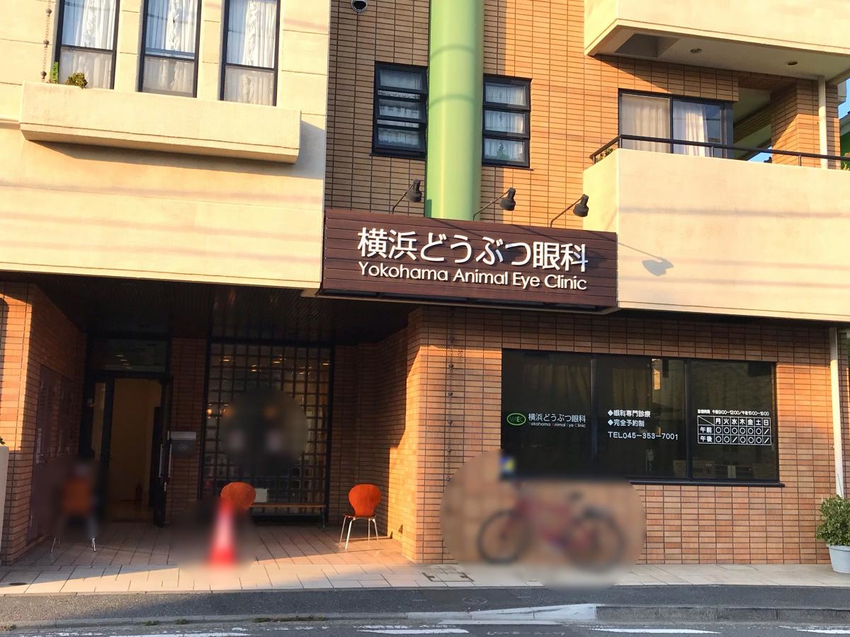 横浜どうぶつ眼科