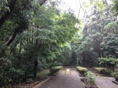 市民の森