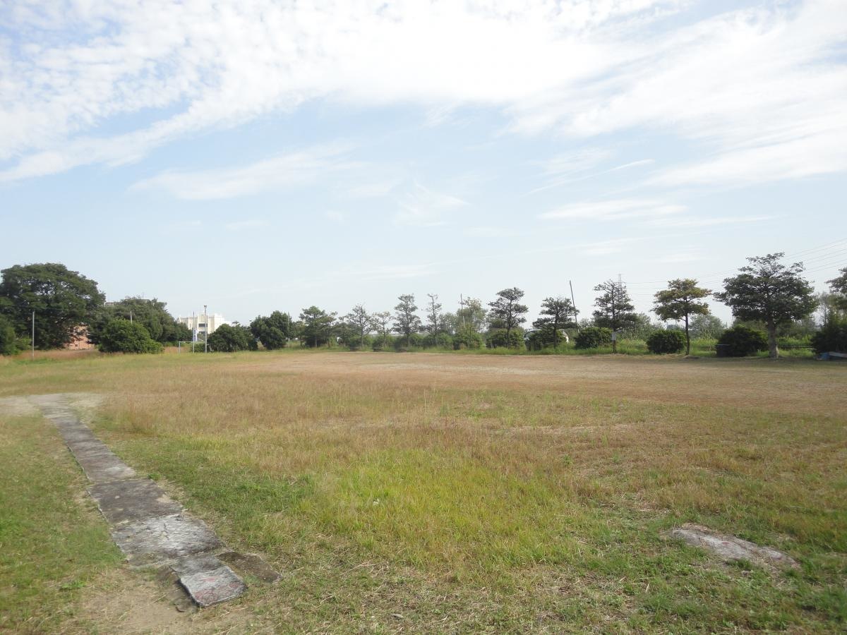 公園内の様子