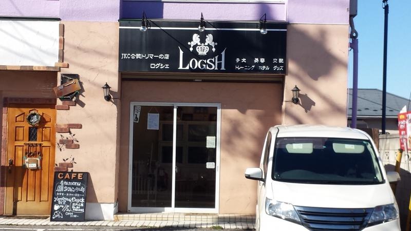 トータルドッグショップログシェ
