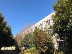 オアゾ桜木