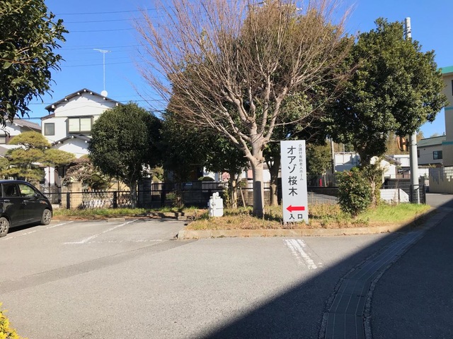 オアゾ桜木