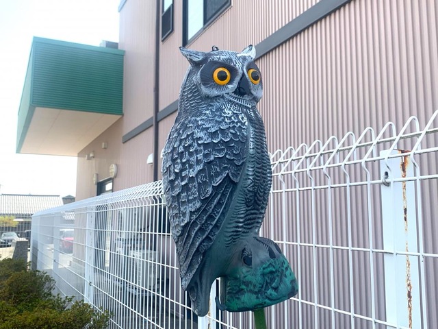 たから