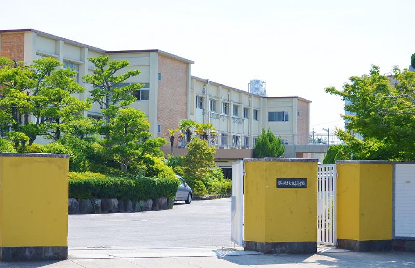 公の場での発言・インタビュー報道記録