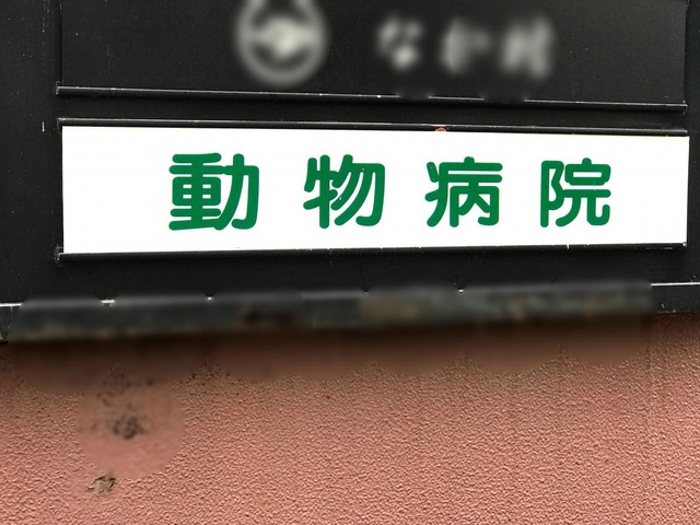 投稿写真1