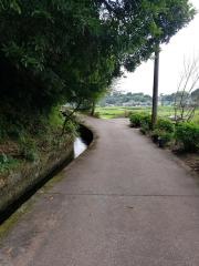 関吉の疎水溝