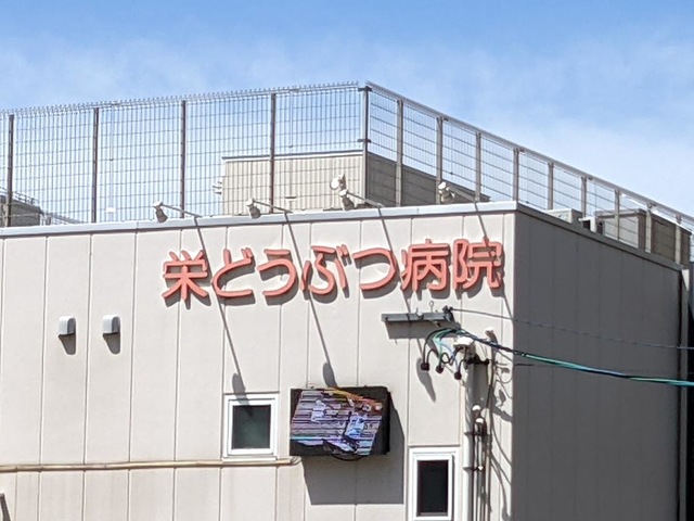 投稿写真2