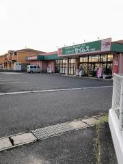 ドラッグセイムス　大槻店