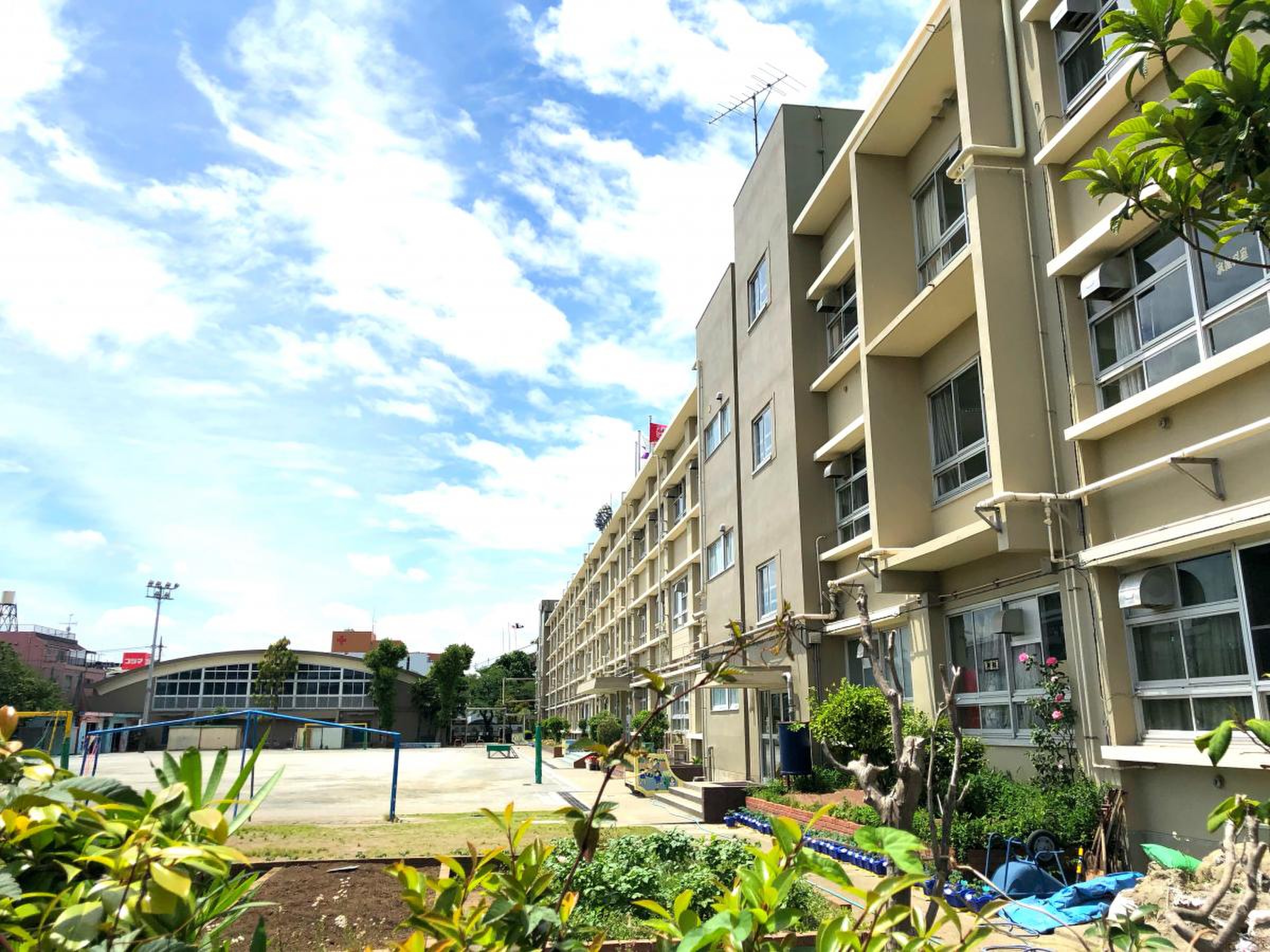 葛飾 区立 清和 小学校