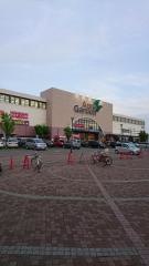 アグロガーデン神戸駒ケ林店