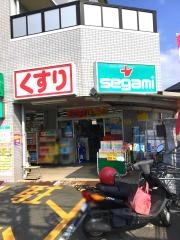 ココカラファイン・ドラッグセガミ　山本店